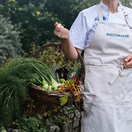 Venkovský dům Ballymaloe House Ballycotton