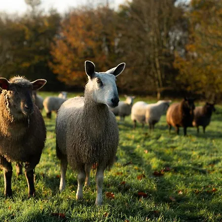 Ballymaloe House Venkovský dům