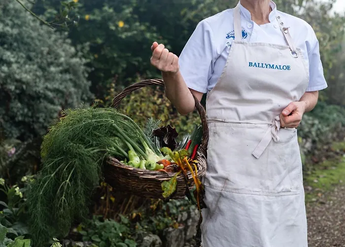 בית כפרי Ballymaloe House בליקוטון